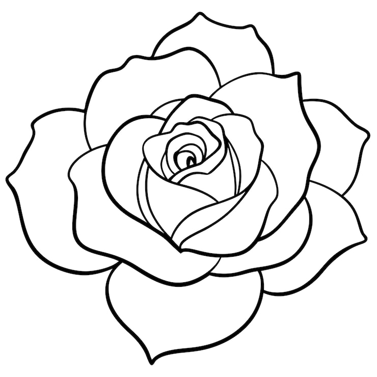 Vector roos contour kleurboek pagina lijn kunst illustratie digitale tekening