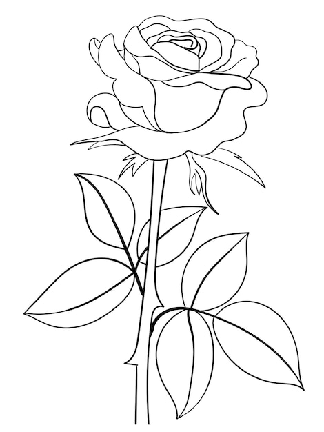 roos omtrek voor kleurboek
