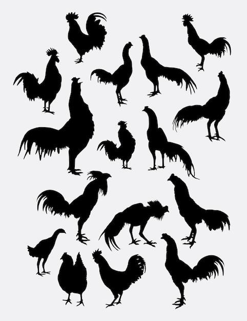 Vector rooster cock and chicken animal silhouette