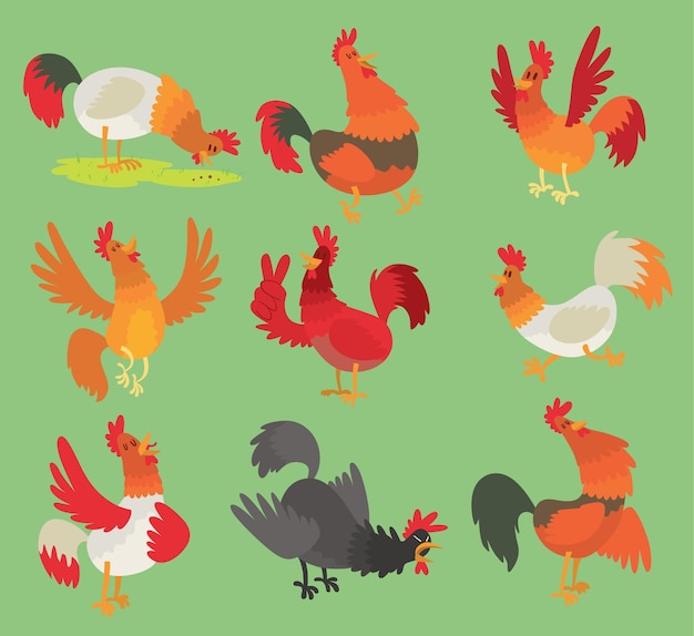 Rooster cock chicken cartoon character illustration rooster isolated on background