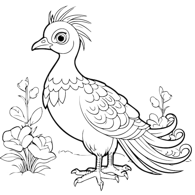 rooster coloring pages