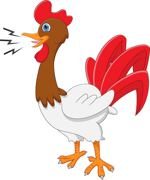 Premium Vector | Rooster crowing cartoon on white background