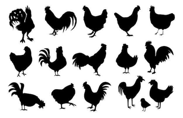 Gallo gallina pollo animale fattoria di pollame personaggio silhouette modelli vettoriali premium