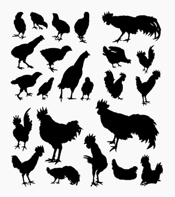 Rooster, hen and chicken animal silhouette