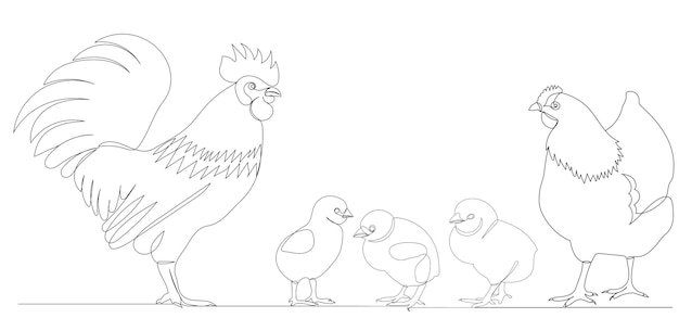 Rooster hen and chicks drawing by one continuous line sketch vector