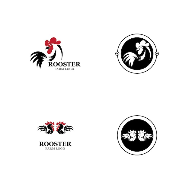 Vector rooster logo template