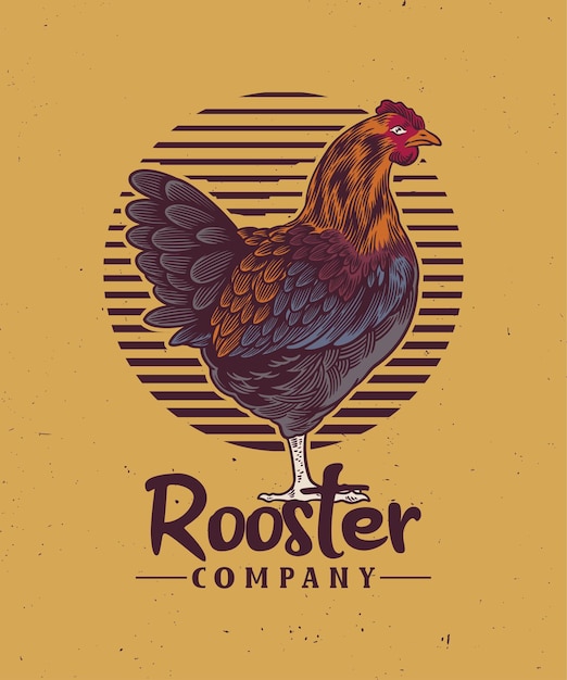 Rooster logo elementi di produzione vintage rooster vector illustration butcher company