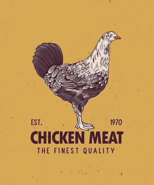 Rooster logo elementi di produzione vintage rooster vector illustration butcher company