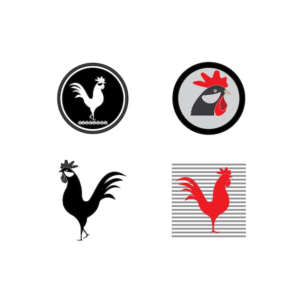 Логотип rooster