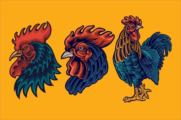 rooster mascot illustration
