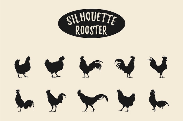 rooster silhouettes chicken silhouettes Isolated on a white background
