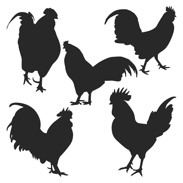 Vector rooster silhouettes vector collection