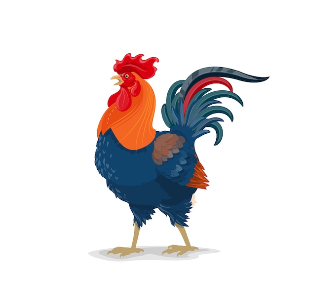 Vector rooster vector animal, cartoon cock