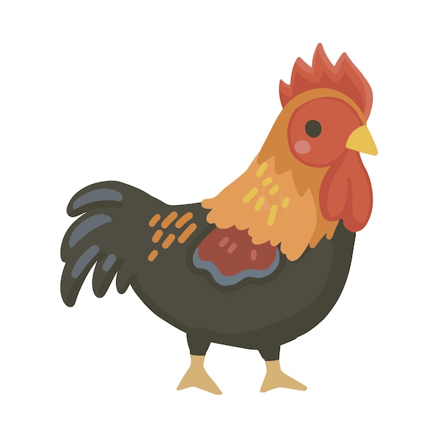 rooster