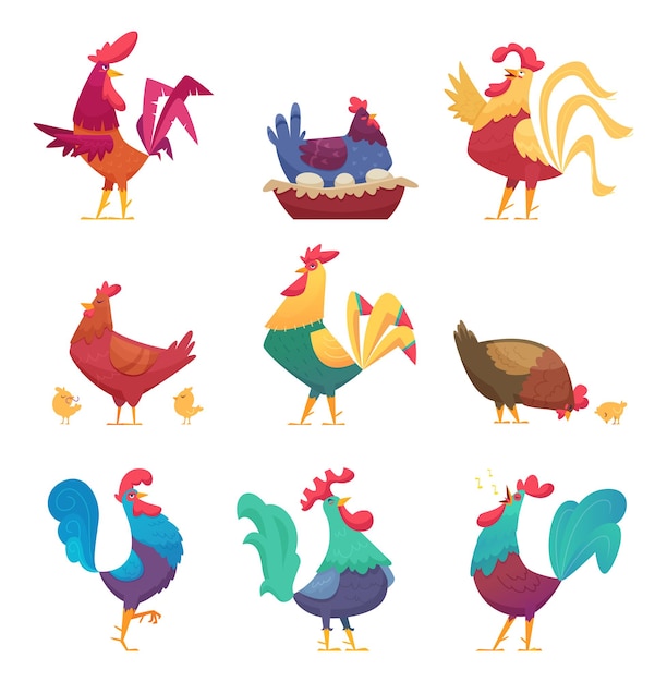 Galli e galline. personaggi dei cartoni animati di vettore di allevamento di uccelli di fattoria di pollo domestico di campagna eco industria di allevamento. gallina e gallo, illustrazione della fattoria degli uccelli di pollo