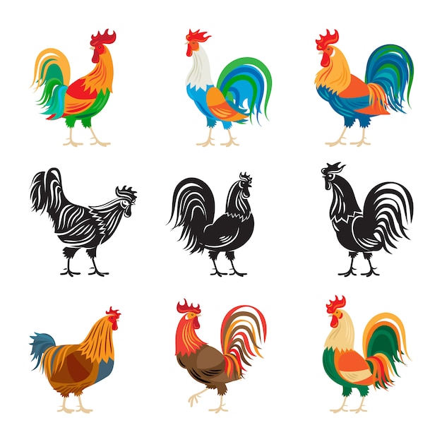 Roosters and rooster silhouettes