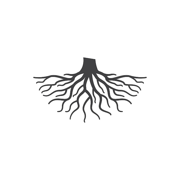 Vector root graphic design vector