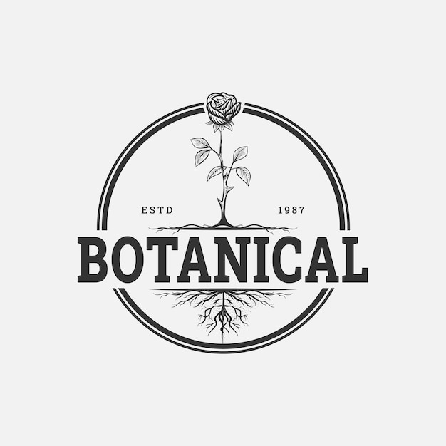 Vector root and rose vintage logo design illustration for plant based meals and herbs