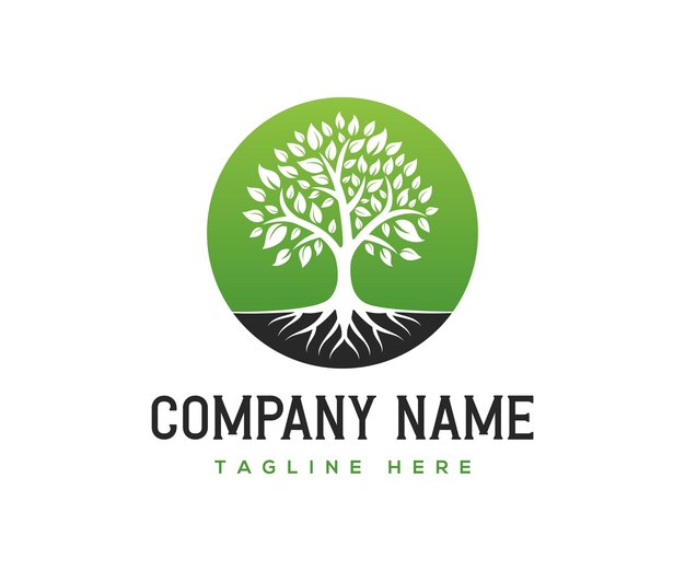 Root of the tree logo design inspiration tree logo