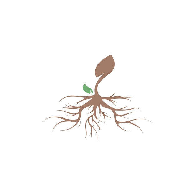 Root of the tree logo