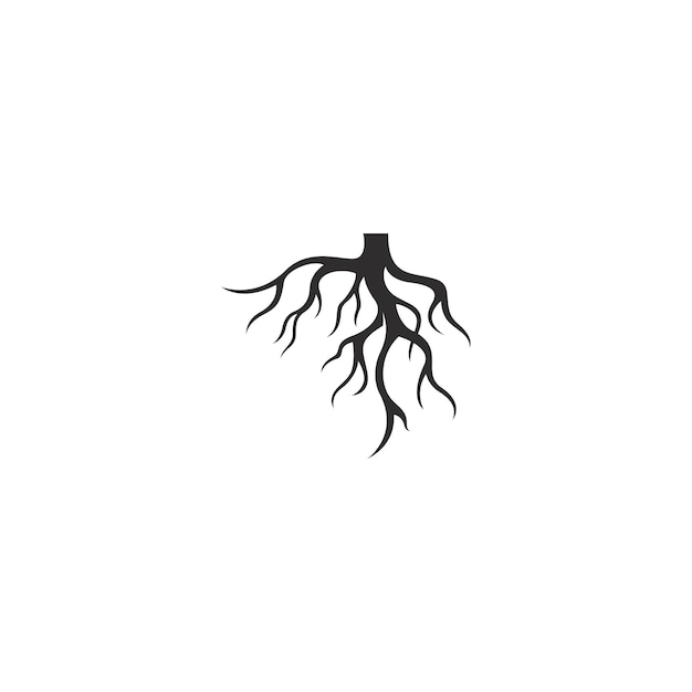 Root vector illustration template design