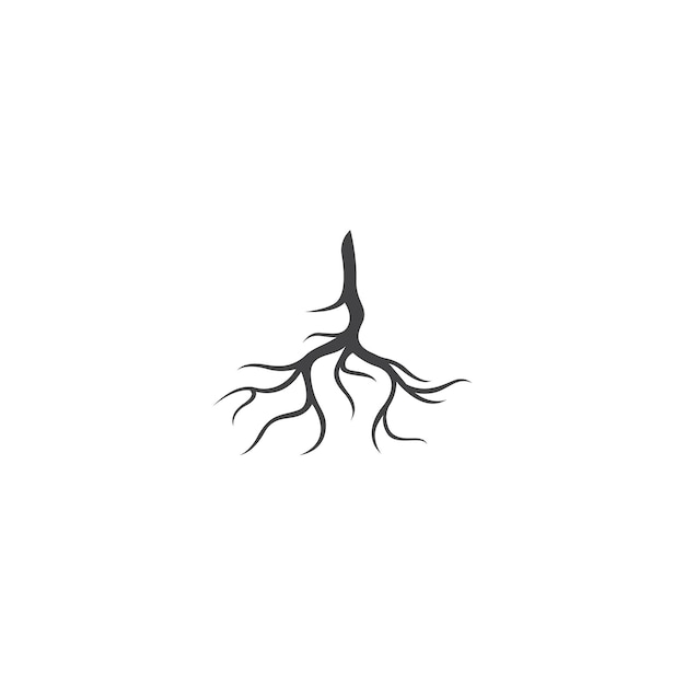 Root vector illustration template design