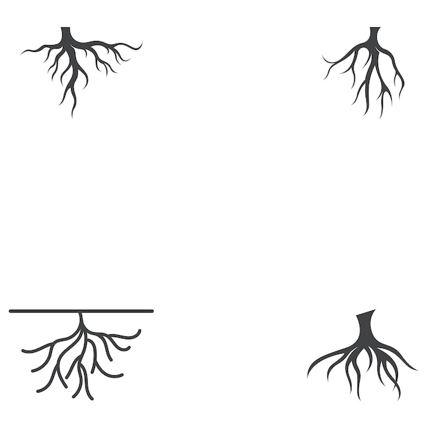 Vector root vector illustration template design