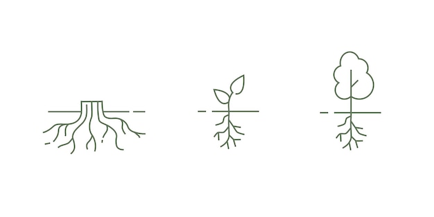 Vector roots_icons