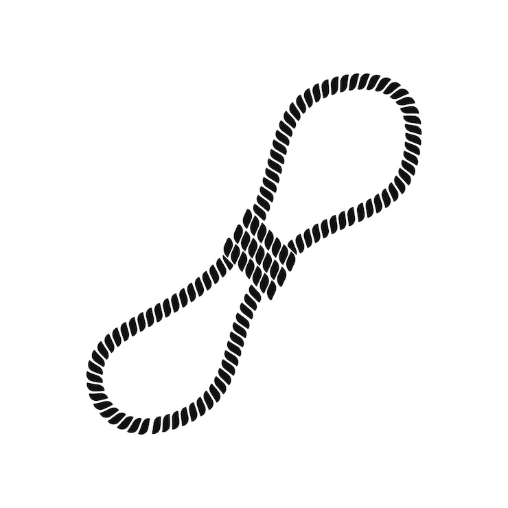 Vector rope icon