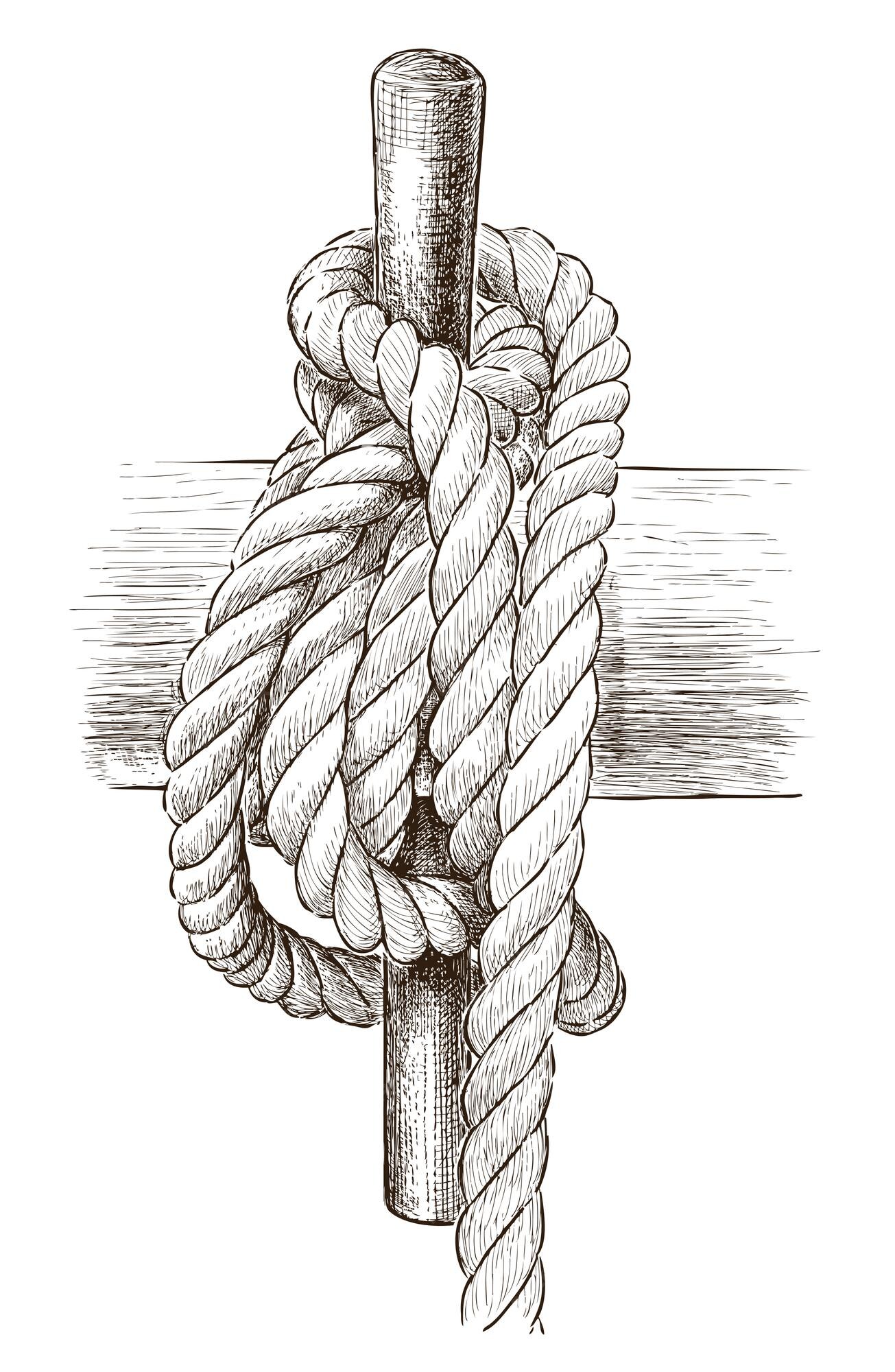 knot drawing