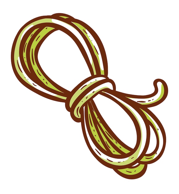 Rope vector illustration