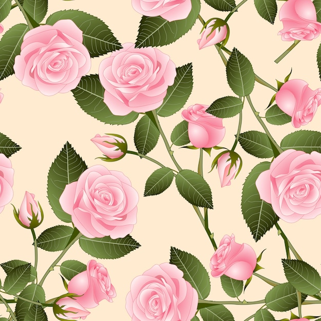 Rosa on Beige Ivory Background