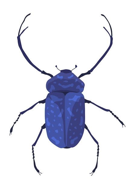 Vettore rosalia batesi longhorn icona di insetto blu nero coleottero esotico con lunghe antenne e gambe