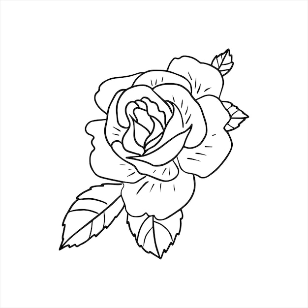 장미와 잎 손으로 그린 낙서 스타일 꽃 스케치 흰색 배경에 고립