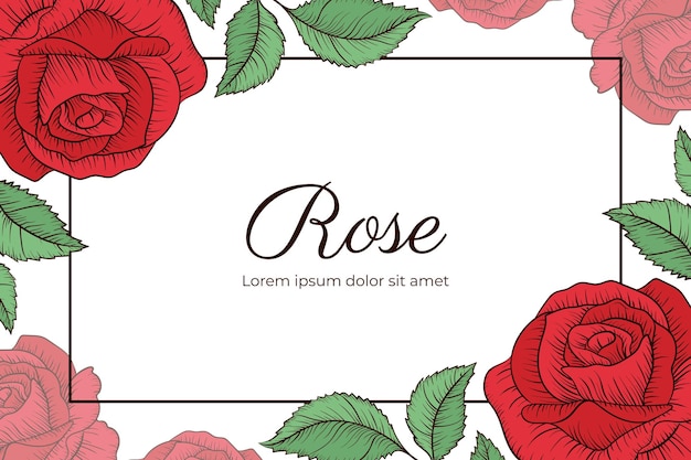 Rose background vector