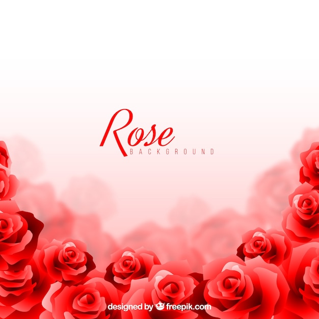 Premium Vector | Rose background with blurred effect