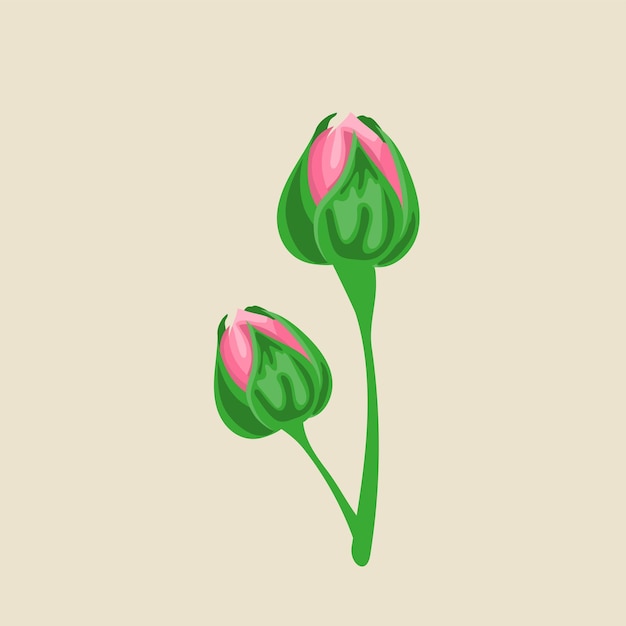 Vector rose bud flower element vector illustration design