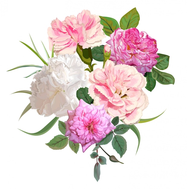 Vector rose and carnation flower illustration