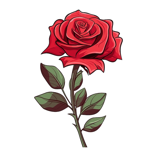 rose cartoon illustration vector