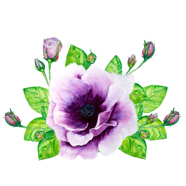 Векторная иллюстрация цветка гибискуса розы хризантемы EPS