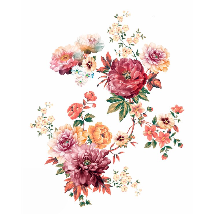 Vector rose chrysanthemum hibiscus flower vector illustration eps