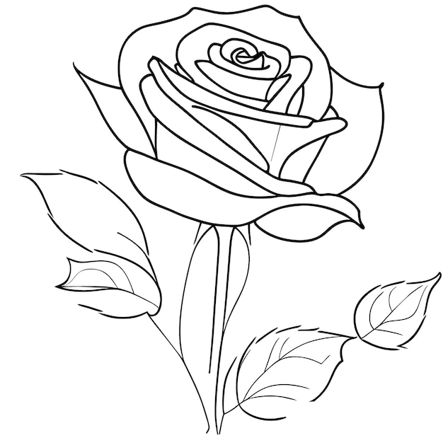 rose For Drawing coloring Book vector illustration line art