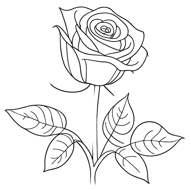 rose For Drawing coloring Book vector illustration line art