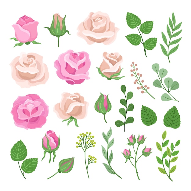 Rose elements Roses flowers bleached pink and ivory floral bouquet Isolated vintage blooming branches Wedding fashion collection neoteric vector clipart