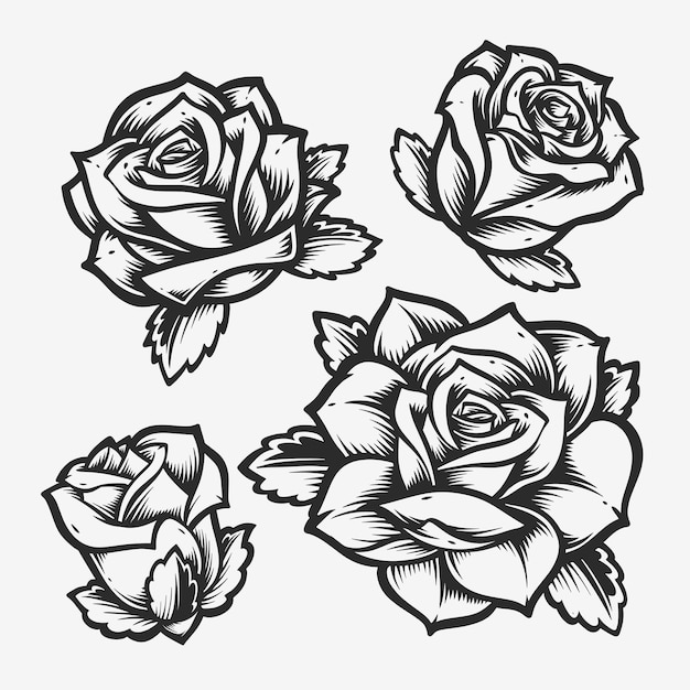 Rose flower black and white drawing