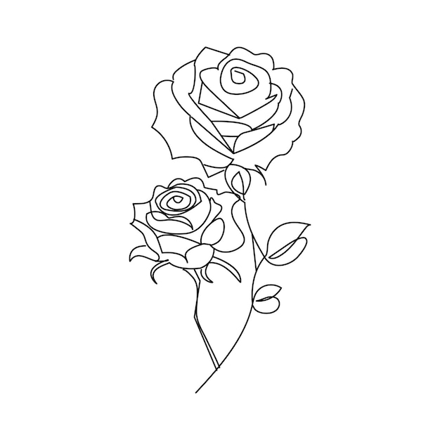 Vector rose flower continuous one line drawing of outline vector illustration