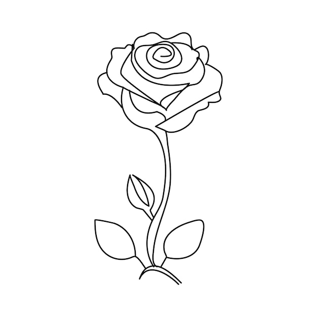 Vector rose flower continuous one line drawing of outline vector illustration