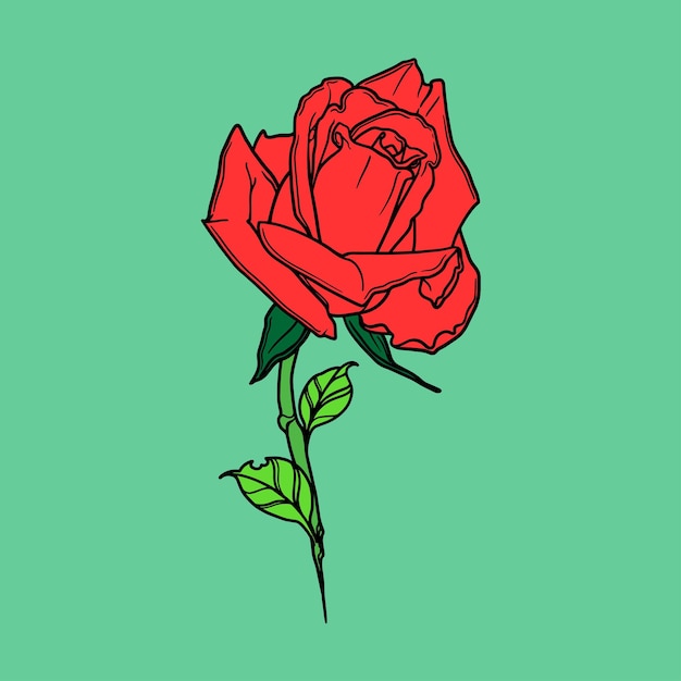 Premium Vector | Rose flower hand draw illustration vector