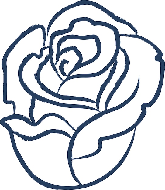 Rose flower hand drawn vector illustration