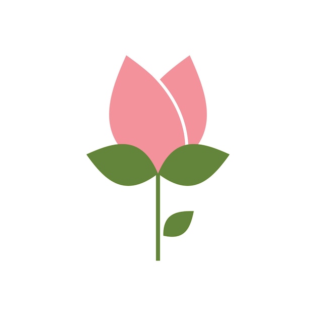 Rose flower illustration